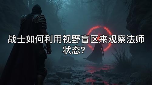 战士如何利用视野盲区来观察法师状态？