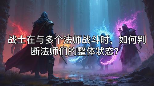 战士在与多个法师战斗时，如何判断法师们的整体状态？
