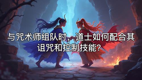 与咒术师组队时，道士如何配合其诅咒和控制技能？