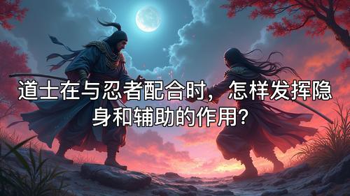 道士在与忍者配合时，怎样发挥隐身和辅助的作用？