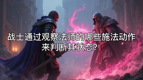 战士通过观察法师的哪些施法动作来判断其状态？