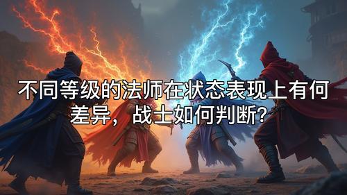 不同等级的法师在状态表现上有何差异，战士如何判断？