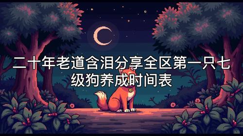 二十年老道含泪分享全区第一只七级狗养成时间表