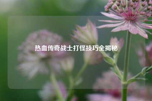 热血传奇战士打怪技巧全揭秘