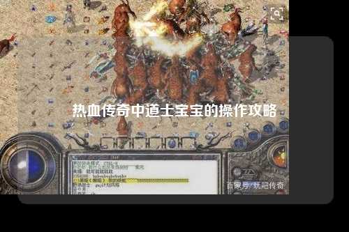 热血传奇中道士宝宝的操作攻略