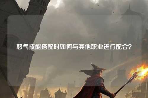 怒气技能搭配时如何与其他职业进行配合？