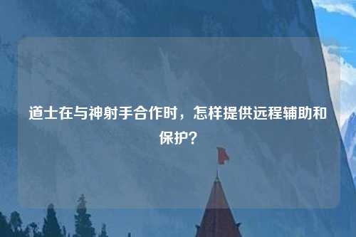 道士在与神射手合作时，怎样提供远程辅助和保护？