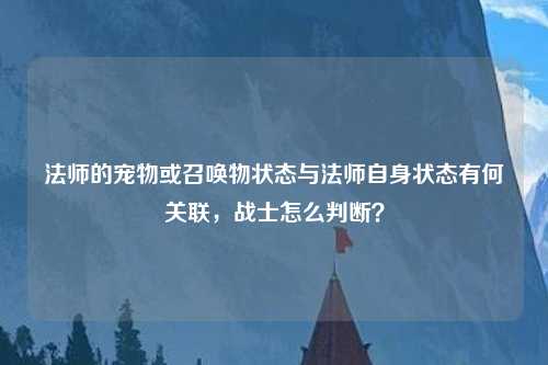 法师的宠物或召唤物状态与法师自身状态有何关联，战士怎么判断？