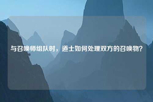 与召唤师组队时，道士如何处理双方的召唤物？