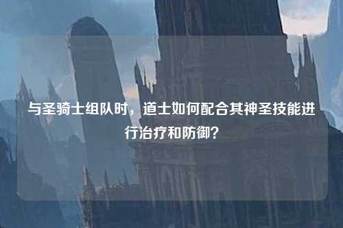 与圣骑士组队时，道士如何配合其神圣技能进行治疗和防御？